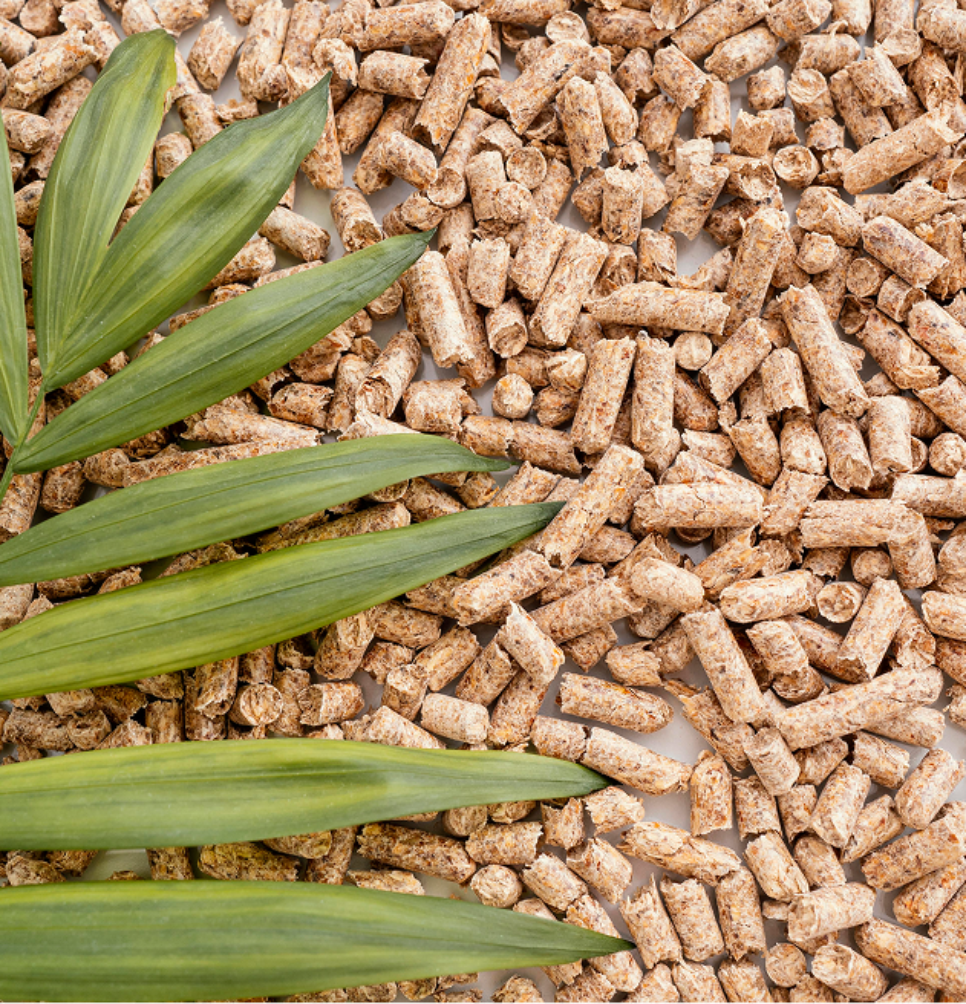 Biofuels & feedstocks