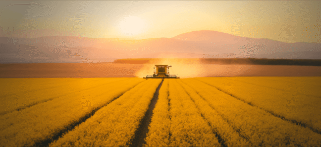 Europe’s 2026/27 Oilseed Season: What a Larger Crop Could Mean for Oils and Meals