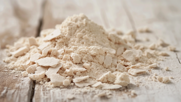 Soybean Meal / Soybean Expeller