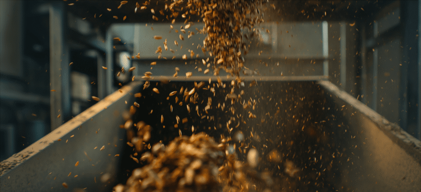 What Determines the Value of Rapeseed and Sunflower Seed at the Crusher