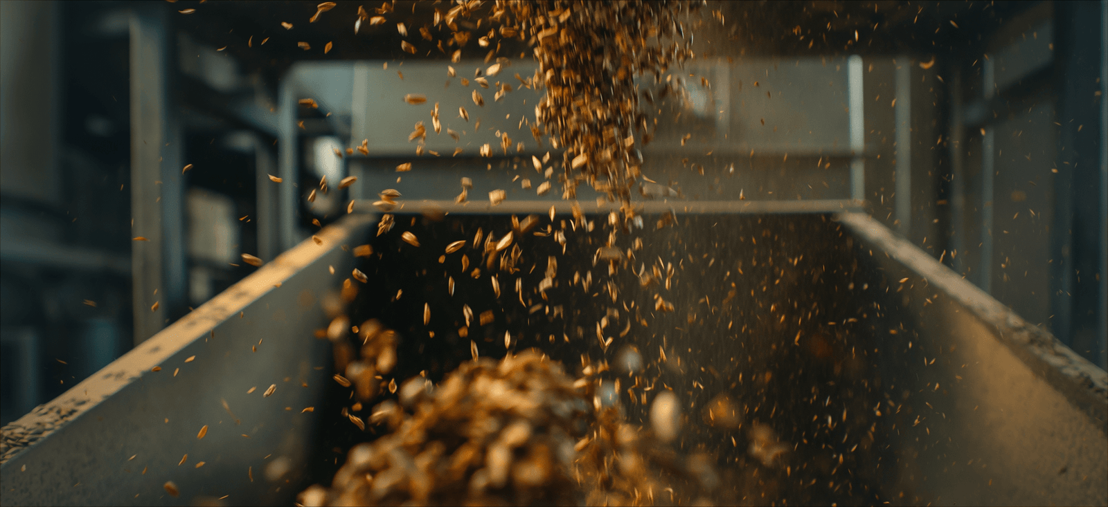 What Determines the Value of Rapeseed and Sunflower Seed at the Crusher