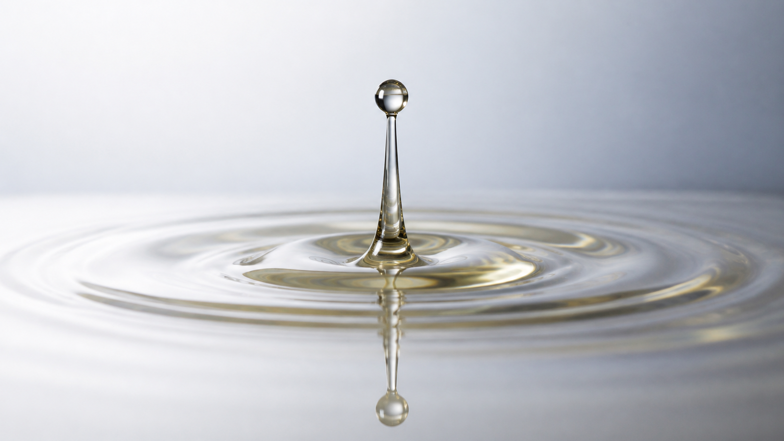 Sustainable Aviation Fuel – SAF